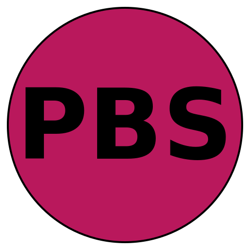 Platinum Beauty Services